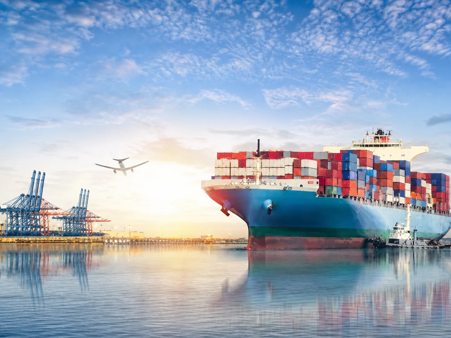 Professional Export Tax Rebate Team service scene